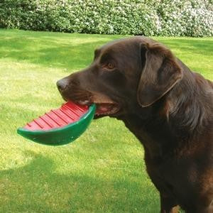 Biosafe Watermelon Toy