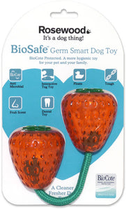 Biosafe Strawberry Toy