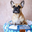 Outback Tails Bed - Pulil Pulli Blue - Nest