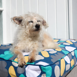 Outback Tails Bed - Puli Puli Blue Rectangle - Small