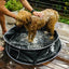 Doog Pet Pop Up Pool - Medium