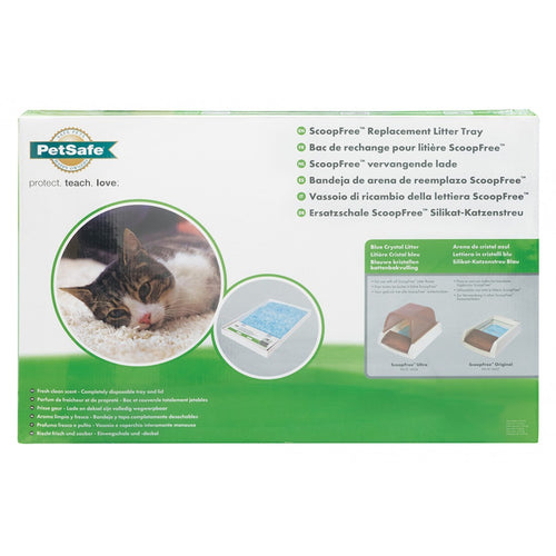 ScoopFree Replacement Litter Tray single