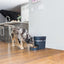PetSafe Smart Feed Automatic Pet Feeder
