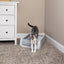 ScoopFree Litter Tray 2nd Generation