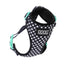 DOOG Neoflex Dog Harness Stella