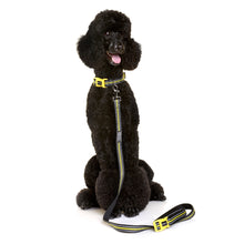 Doog Neoprene Dog Collar Bolt (Neon)