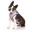 Doog Neoflex Dog Harness Gromit