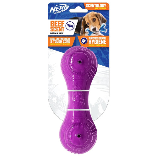 Nerf Scentology Solid Barbell - Beef Clear/Purple 17.5 cm.