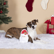 Santa Face Durable Plush Dog Toy