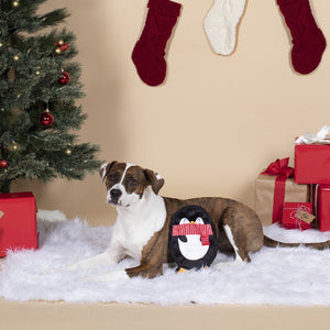 Holiday Penguin Durable Plush Dog toy