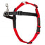 Halti Front Control Harness Blk Red Med