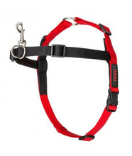 Halti Front Control Harness Blk Red Lge