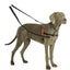 Halti Training Lead Black Small