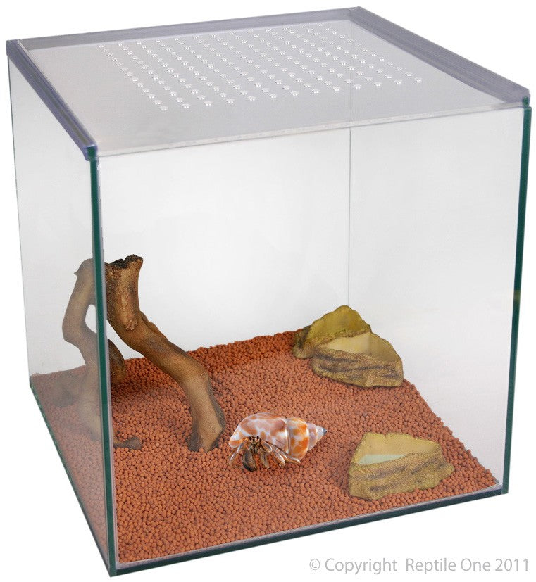 Aqua One Hermit Crab Starter Kit *Available in store or local delivery only