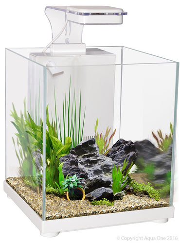 Aqua One Betta Sanctuary Glass Aquarium 10L 22.4cm W X 22.4cm D X 26.3cm H (White)