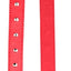 Pet One Collar Leather Single Row Studded Red