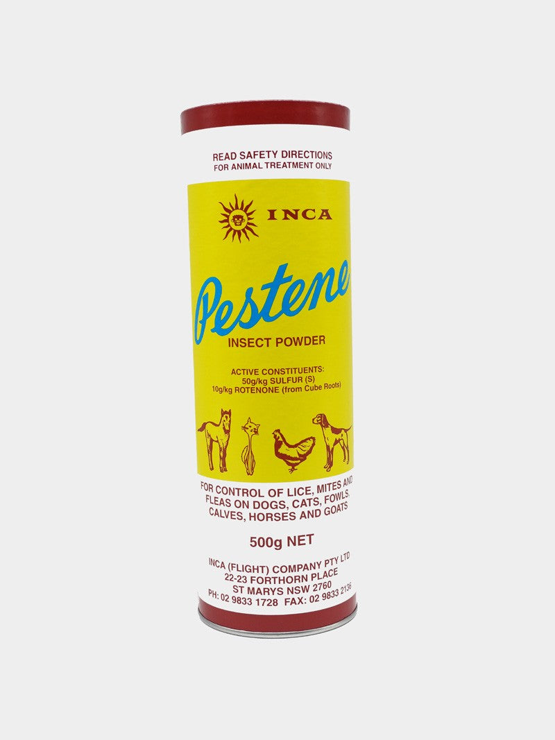 Inca Pestene Powder 500G