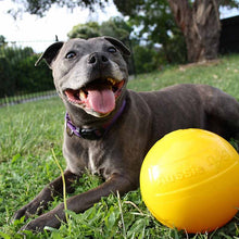 Aussie Dog Tucker Ball Large