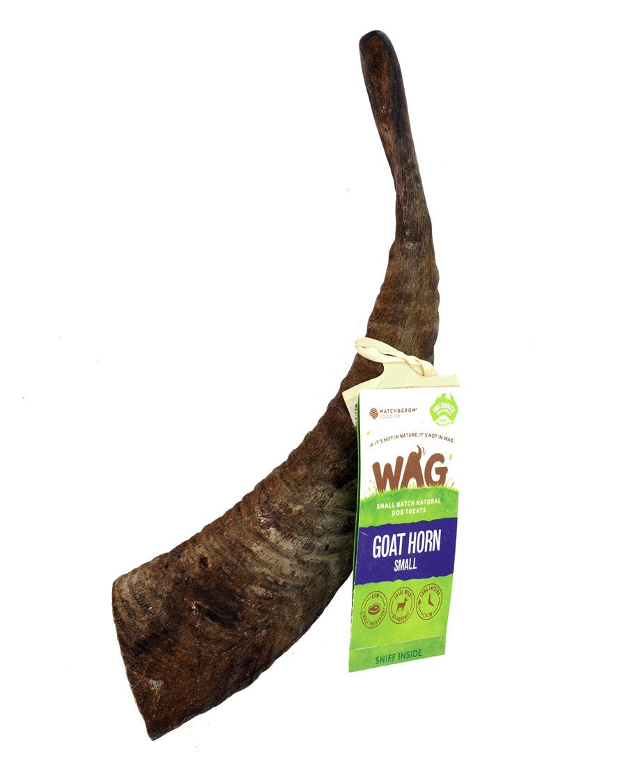 Wag Goat Horn Small