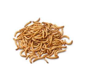 Pisces Mealworms 50g *AVAILABLE IN STORE OR LOCAL DELIVERY ONLY