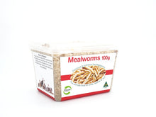 Pisces Mealworms 100g *AVAILABLE IN STORE OR LOCAL DELIVERY ONLY