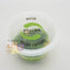 Pisces Tissue Culture Plant Riccia