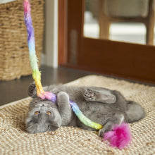 Kazoo Cat Toy Fluffy Rainbow Tail