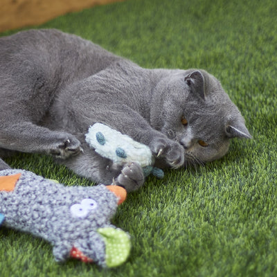 Kazoo Cat Toy Squinty Sheep
