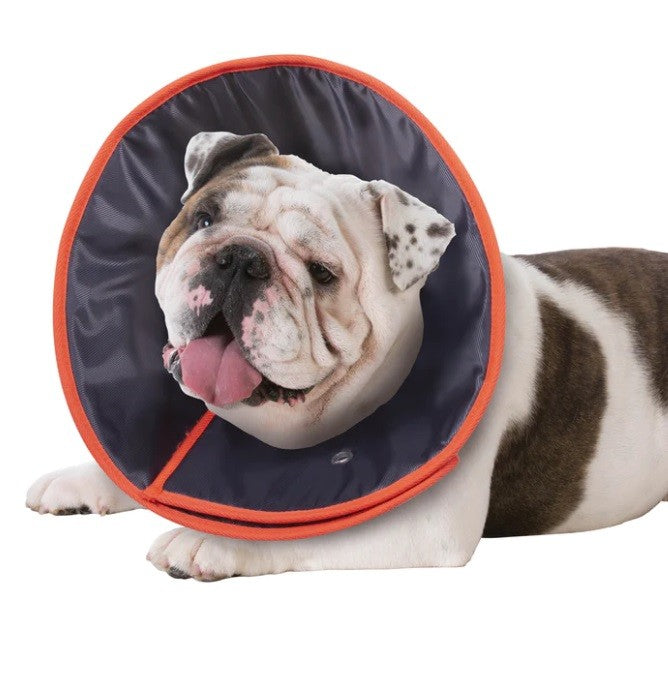 Kazoo Comfy Vet Collar - Large