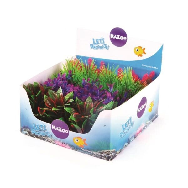Kazoo Mini Assorted Plants