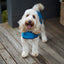 Kazoo Eco Adventure Coat Ocean