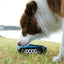 Doog Foldable Water Bowl