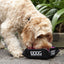 Doog Foldable Water Bowl Pink