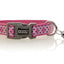 Doog Toto Collar Pink & Grey