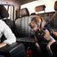Ezy Dog Drive Harness Black