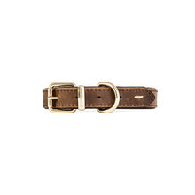 Ezy Dog Leather Collar Oxford Brown