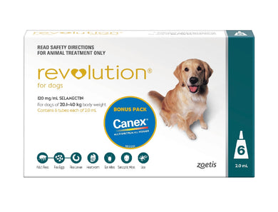 Revolution Dog 240mg 20.1 - 40kg (Teal) 3 Pack incl. Canex Tabs
