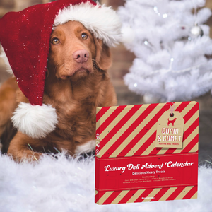 Luxury Deli Advent Calendar For Dogs 100G